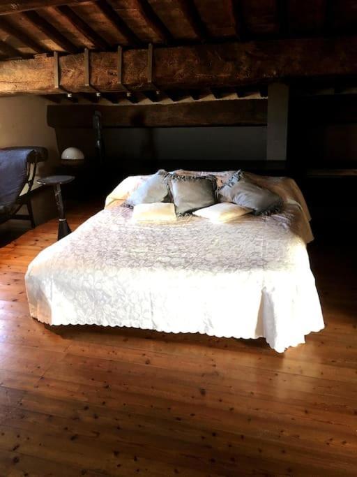 Romantic Studio In The Historical Heart Of Padua Exteriör bild